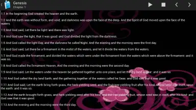 Screenshot von Holy Bible King James Version 9