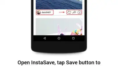 Screenshot von InstaSave 6