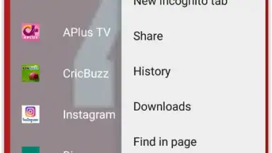 Screenshot von 4K Browser 5