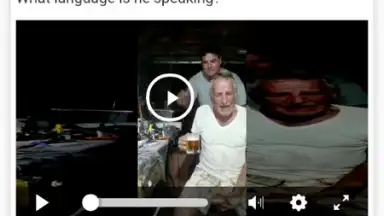 Screenshot von InShot Video Downloader 4
