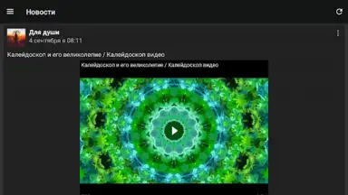 Screenshot von Video App for VK 11