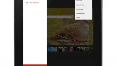 Screenshot von Anonymous Browser 17