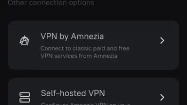 Screenshot von Amnezia VPN 10