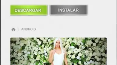 Screenshot von GetThemAll Any File Downloader 3