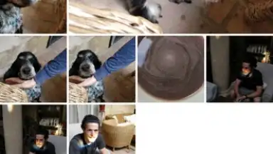 Screenshot von Google Photos 5