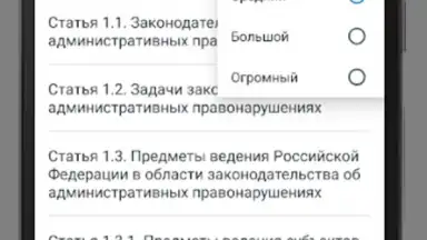 Screenshot von КоАП РФ 24.06.2023 (195-ФЗ) 7
