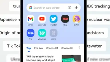 Screenshot von DDU Browser 2