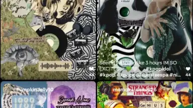 Screenshot von Shuffles by Pinterest 16