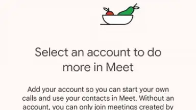 Screenshot von Google Meet 1