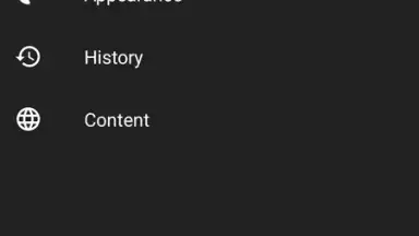 Screenshot von NexTube 2