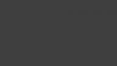 Screenshot von IDM 5
