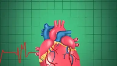Screenshot von Cardiac Hospital 4