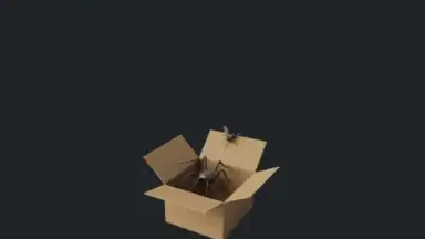 Screenshot von BlockP - AI Porn Blocker / Block Site 11