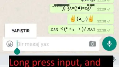 Screenshot von Upside Down Chat+ 9