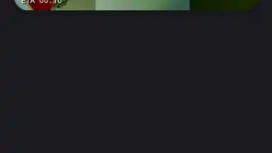 Screenshot von YTDLnis 18