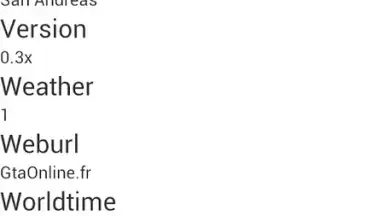 Screenshot von SA-MP App 7