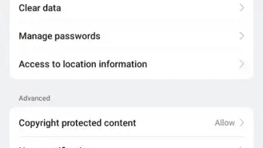 Screenshot von Internet Browser 9