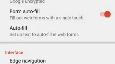 Screenshot von Pyrope Browser 2
