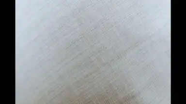 Screenshot von HedgeCam 2 6