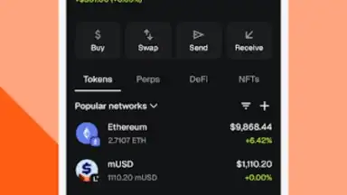 Screenshot von MetaMask 1