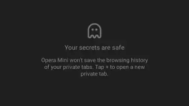 Screenshot von Opera Mini 7