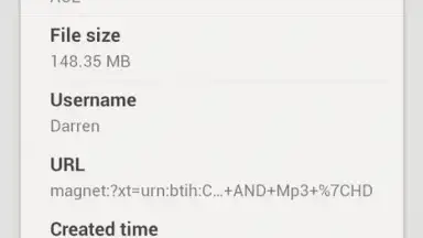 Screenshot von DS download 2
