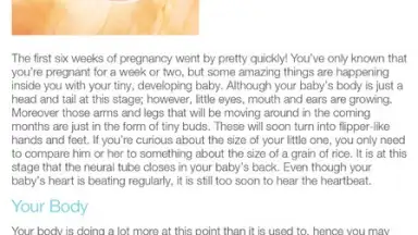 Screenshot von Pregnancy + 6
