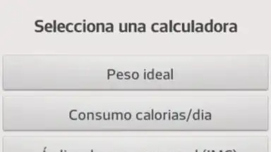 Screenshot von Diets for losing weight 14