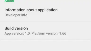 Screenshot von Turbo Browser 5
