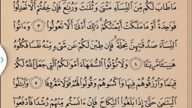 Screenshot von Quran Karim 5