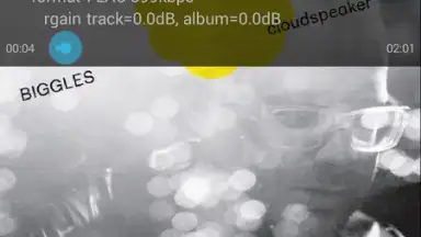 Screenshot von Vanilla Music 3