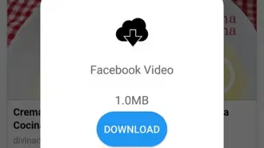 Screenshot von Daily Video Downloader 4
