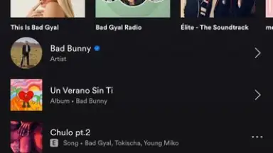 Screenshot von Spotify 6