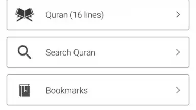 Screenshot von Easy Quran Mp3 5