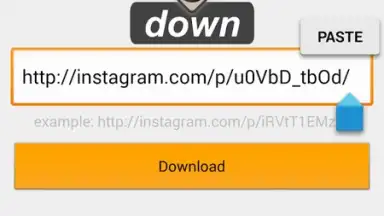 Screenshot von Video Downloader for Instagram 6