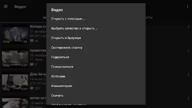 Screenshot von Video App for VK 9