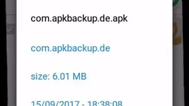 Screenshot von APK Backup(Pro) 3