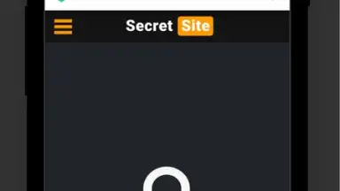 Screenshot von Aloha Browser 4