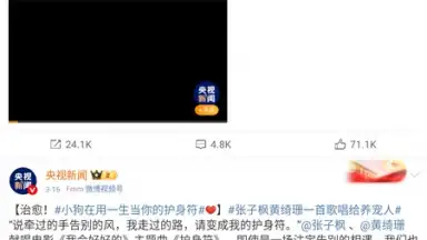 Screenshot von Weibo 8