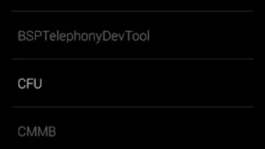 Screenshot von Engineering Mode App 2