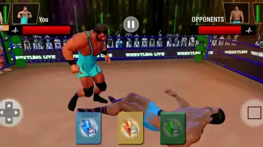 Screenshot von Tag Team Wrestling Games: Mega Cage Ring Fighting 5