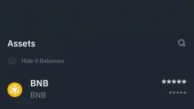 Screenshot von Binance 13
