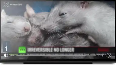Screenshot von KgTv Player - IPTV Player 13
