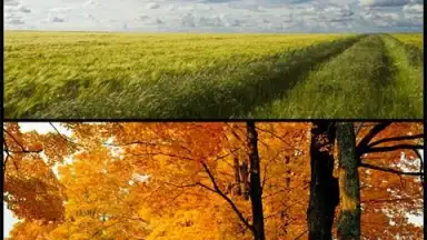 Screenshot von Samsung Photo Editor 3