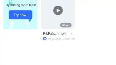 Screenshot von PikPak 1