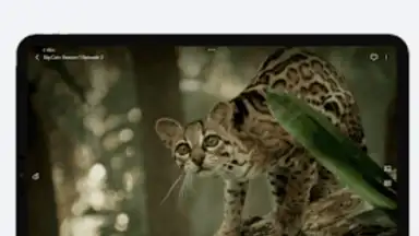 Screenshot von VidHub 15