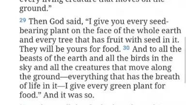 Screenshot von Bible Gateway 12