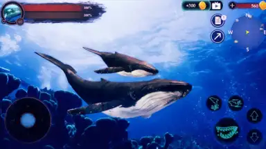Screenshot von The Humpback Whales 3