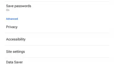 Screenshot von Chrome Dev 1
