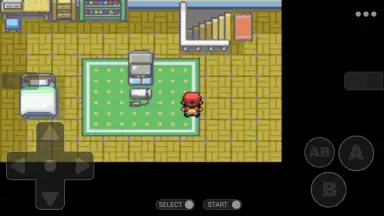 Screenshot von Pokemon Collection 6